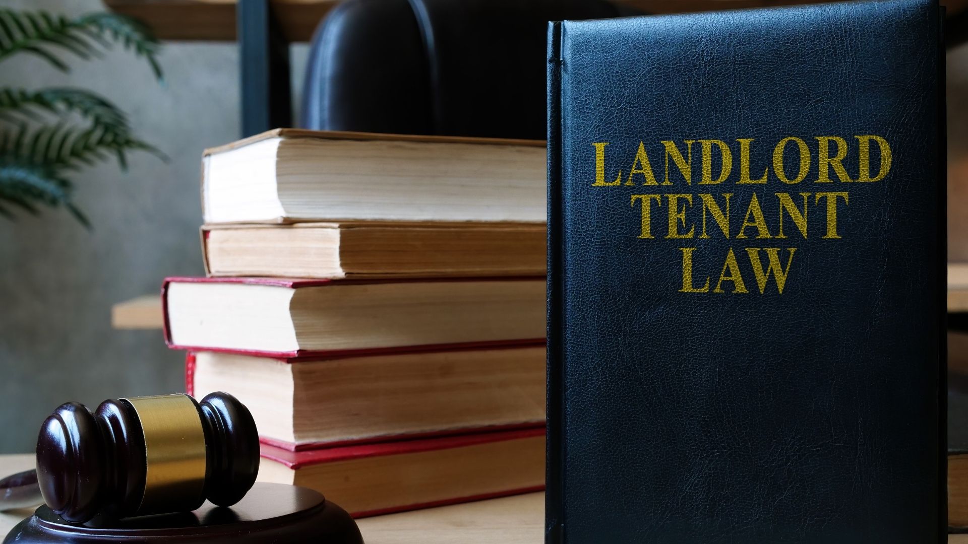 Florida Rental Laws - An Overview of Landlord Tenant Rights in Wesley Chapel